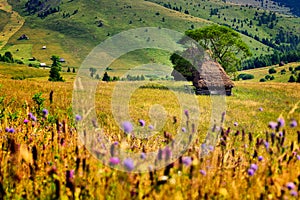 Romania ,Apuseni mountain in the spring ,traditional houses