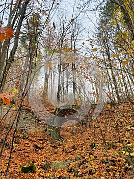 Romania, Baiului Mountains, Old bridge in the forest.