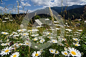 Romania, Beautiful landscape