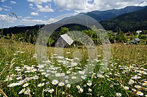 Romania, Beautiful landscape