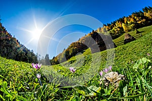 Romania beautiful landscape Bucegi Mountain in the fall