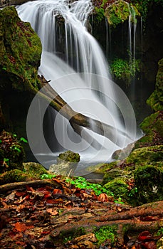 Romania beautiful landscape waterfall in the forest and natural Cheile Nerei natural park