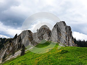 Romania, Buila Vanturarita Mountains, Buila Saddle