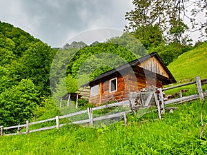 Romania, Buila Vanturarita Mountains, sheepfold in the Bulzului Meadow