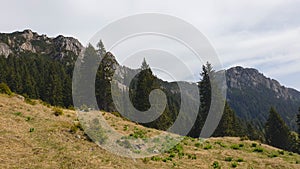 Romania, Buila&Vanturarita Mountains, viewpoint from Brazi Meadow to ridge of the massif.