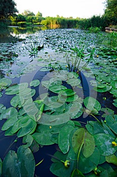 Romania - Danube Delta