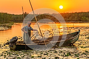 ROMANIA, DANUBE DELTA, AUGUST 2019: Old fisherman checking the nets in the morning in the Danube Delta