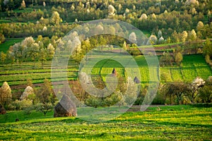 Romania landscape from Maramures county