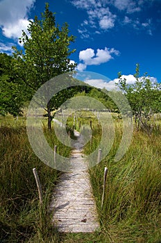 Romania - Pesteana marsh (Bottomless Lake)