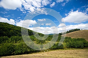 Romania - Pesteana marsh (Bottomless Lake)