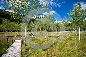 Romania - Pesteana marsh (Bottomless Lake)