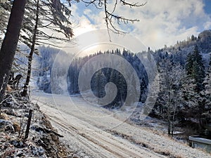 Romania, Postavaru Mountains, winter landscape.