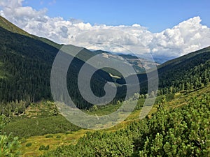 Romania, Rodnei Mountains, Lala Nature Reserve.