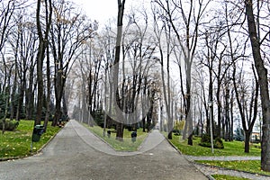 Romania, Vaslui City, Copou Park