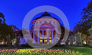 Romanian Athenaeum ATN Academy