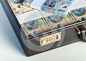 Romanian currency in a briefcase