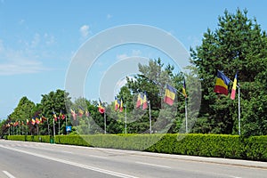 Romanian flags at Targu Jiu