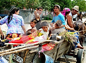 Romanian gipsy