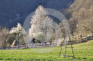 Romanian landscape