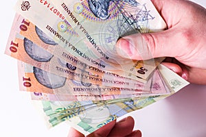 Romanian leu banknotes, close-up on white background