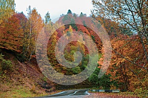 Romanian mountains fall road