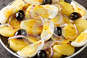 Romanian oriental potato salad with onions, olives and boiled eggs close-up on a plate. horizontal