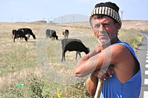 Romanian shepherd with cows in the countryside