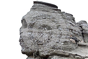 Romanian Sphinx isolated on white