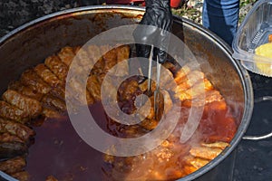 Romanian typical food named sarmale. Cabbage rolls with meat, rice and vegetables