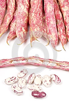 Romano Beans Isolated on White