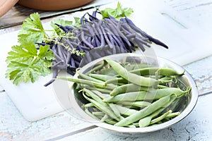 Romano beans and purple beans