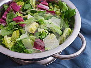 Romano, radicchio and frisee salads mixed in a bowl