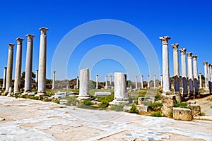 Romans ruins of the city of Salamis, near Famagusta, Northern Cyprus.