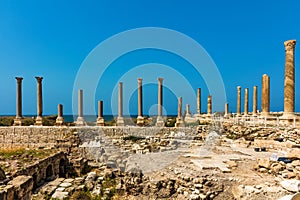 Romans ruins Tyre Sur South Lebanon