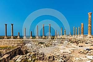 Romans ruins Tyre Sur South Lebanon photo
