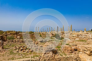 Romans ruins Tyre Sur South Lebanon photo