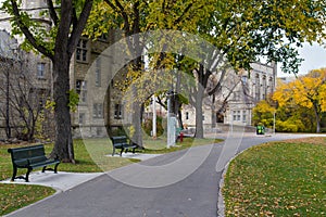 Romantic alley in the University of Saskatchewan