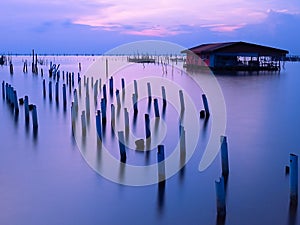 The romantic atmosphere of the homestays in the middle of the lake