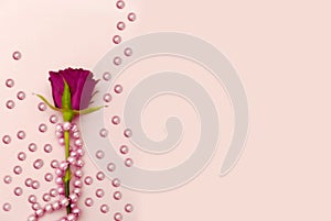 Romantic background with beautiful dark pink rose and many pink pearls over bright backround