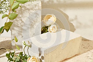 Romantic background with concrete podium and flower for product presentation. Spa product mockup. Mock up for cosmetics with