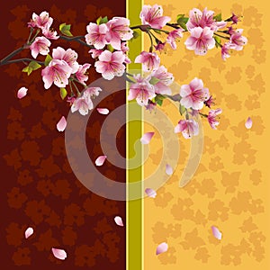 Romantic background with sakura - Japanese cherry