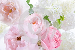 Romantic banner, delicate white roses flowers close-up. Fragrant crem pink petals