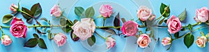 Romantic banner. Greeting card with beautiful roses on blue. Mother's Day, Woman's Day, Easter, Valentine's
