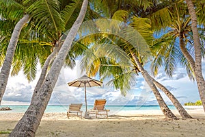 Romantic beach scene, chairs under palm trees, tropical paradise island. Summer landscape for vacation and holiday concept