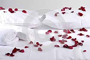 Romantic Beautiful red Petals on white cushions wi photo