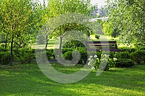 Romantic bench in peaceful park