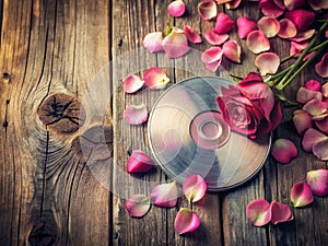 Romantic Blank Compact Disc Decorated with Delicate Pink Rose Petals on a Rustic Wooden Table A Touching Image