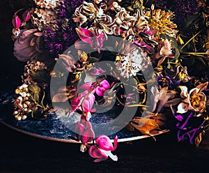Romantic bouquet with aquilegia, ditsetra, birdman, allium photo