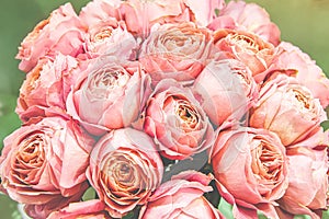 Romantic bouquet of peony pink roses. Selective focus, close-up