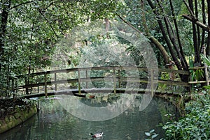 Romantic bridge over water